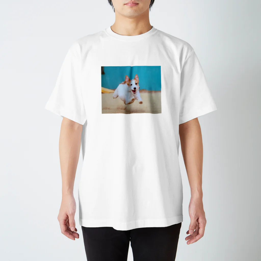 little saltのにこにこジャックさん　飛行犬 スタンダードTシャツ