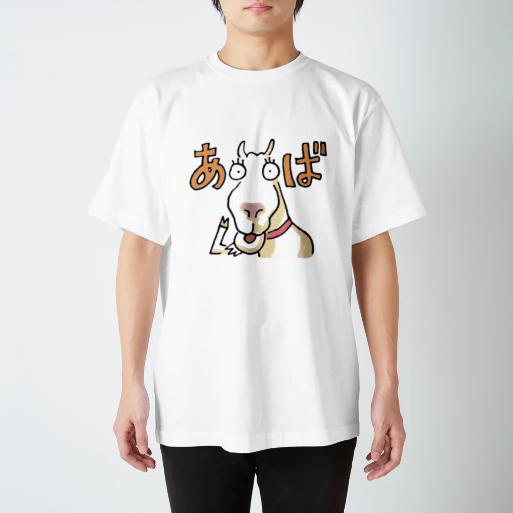 apikaruのみゃーくふつシリーズ001 Regular Fit T-Shirt