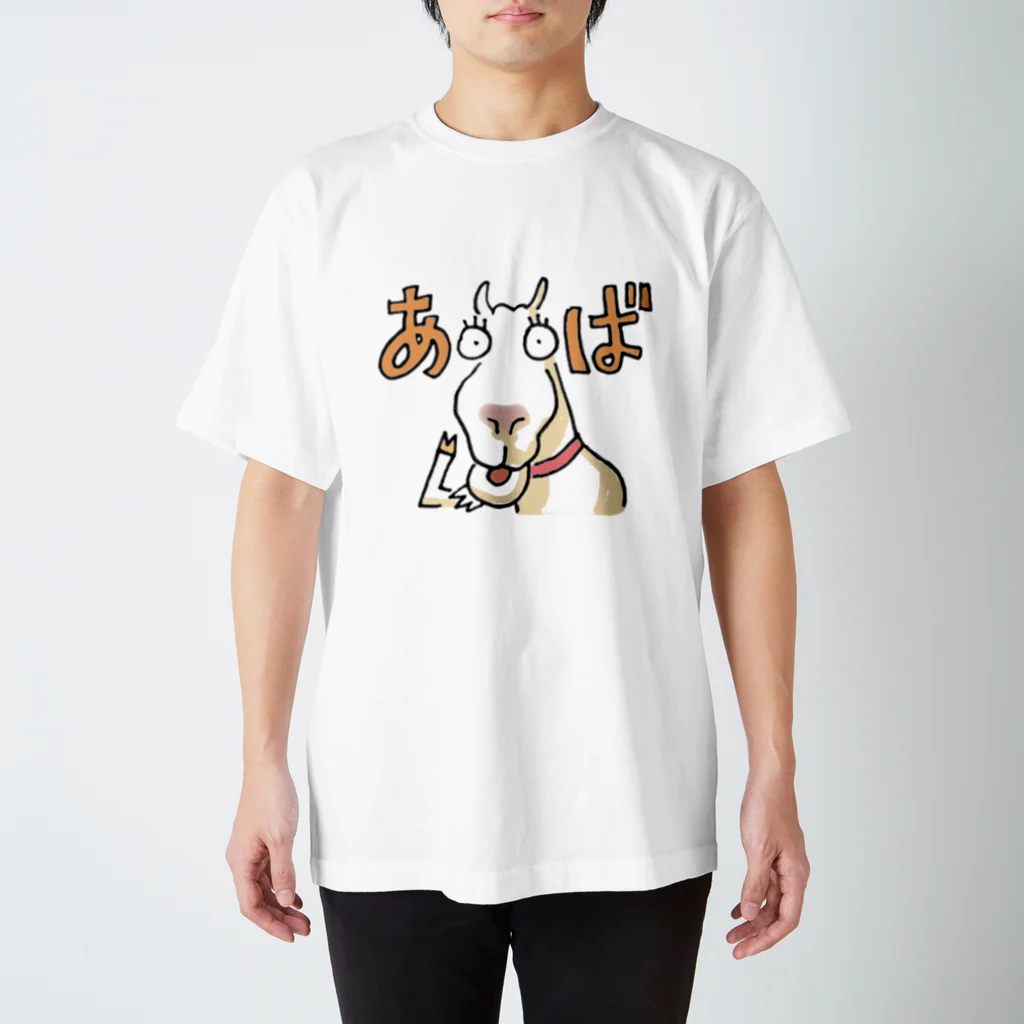 apikaruのみゃーくふつシリーズ001 スタンダードTシャツ