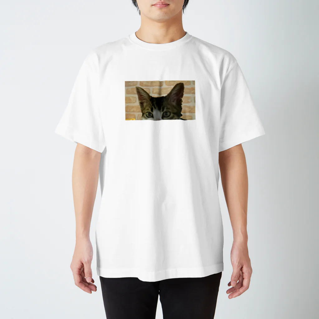 mrkwmrkのねこグッズ スタンダードTシャツ