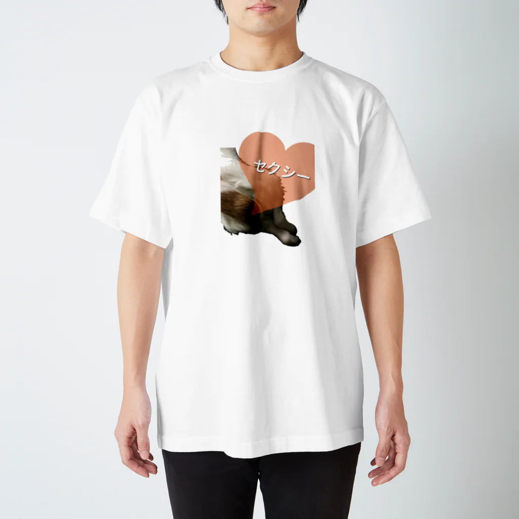 little saltのおしりセクシー犬 Regular Fit T-Shirt