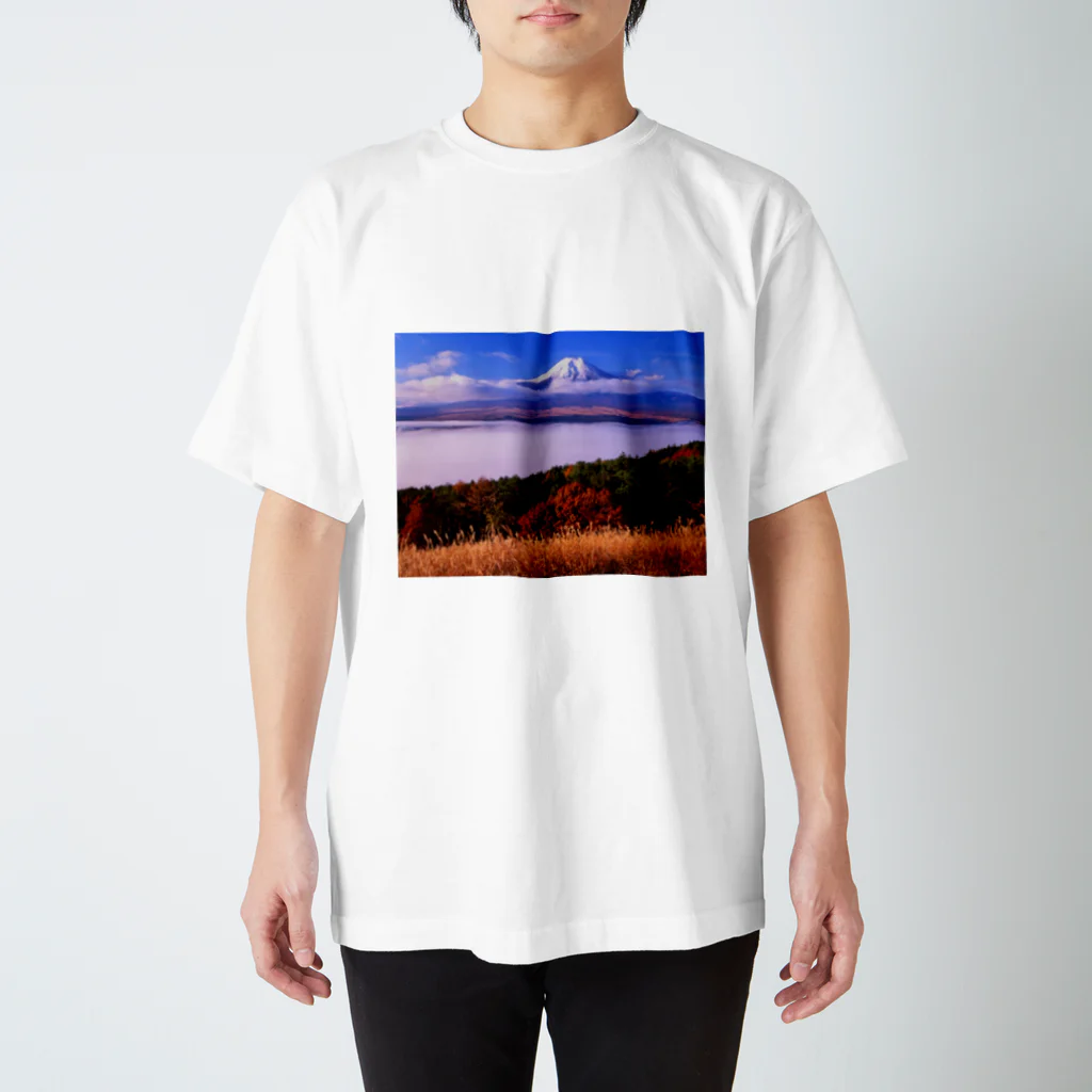 mika⍤⃝♡の富士山 スタンダードTシャツ