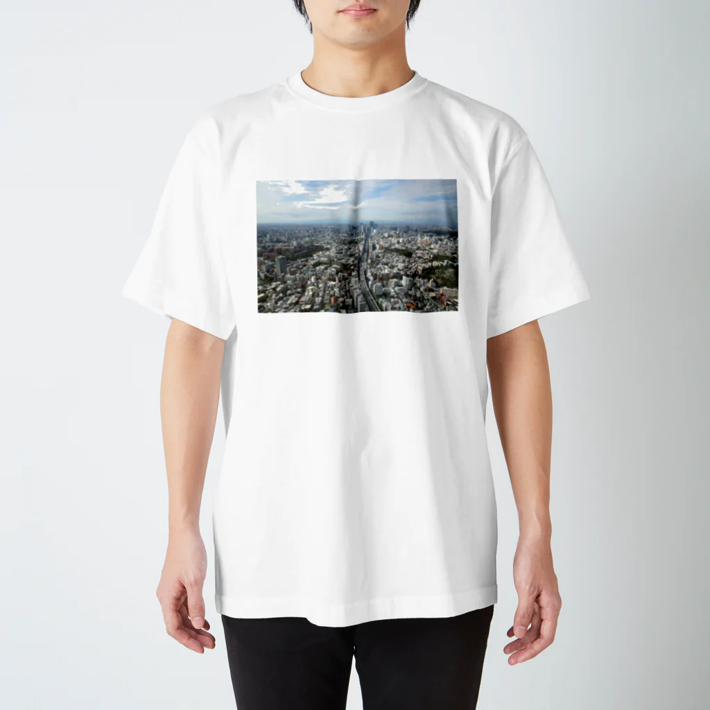 mkoijnの風景 スタンダードTシャツ