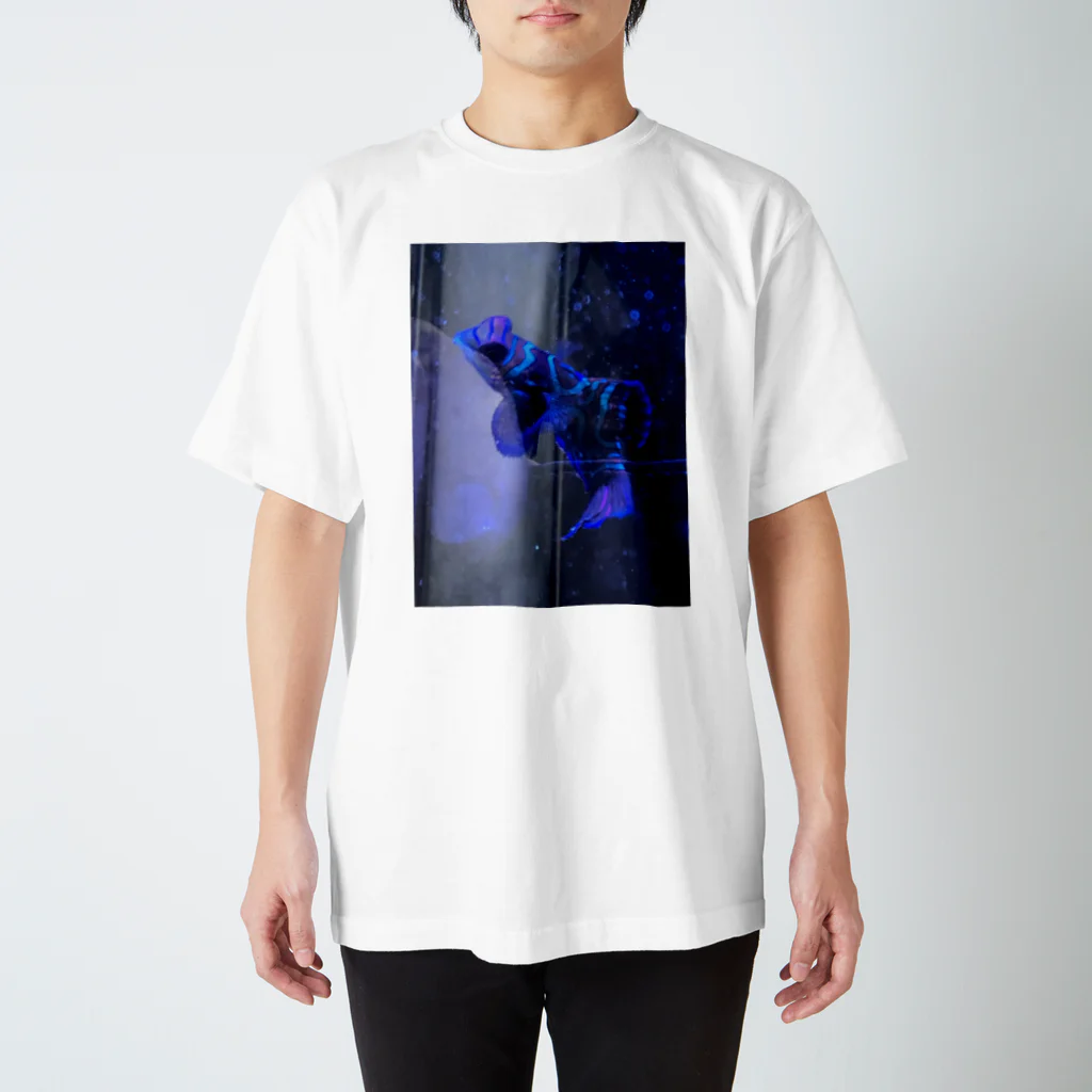 うっちーマリンアクアリウムのマンダリン君 Regular Fit T-Shirt