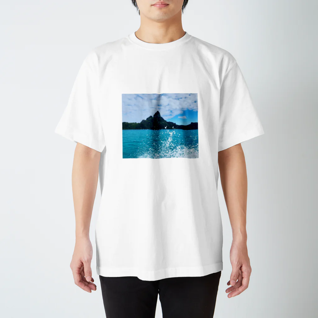 saosao🐾のボラボラ島🌴 スタンダードTシャツ