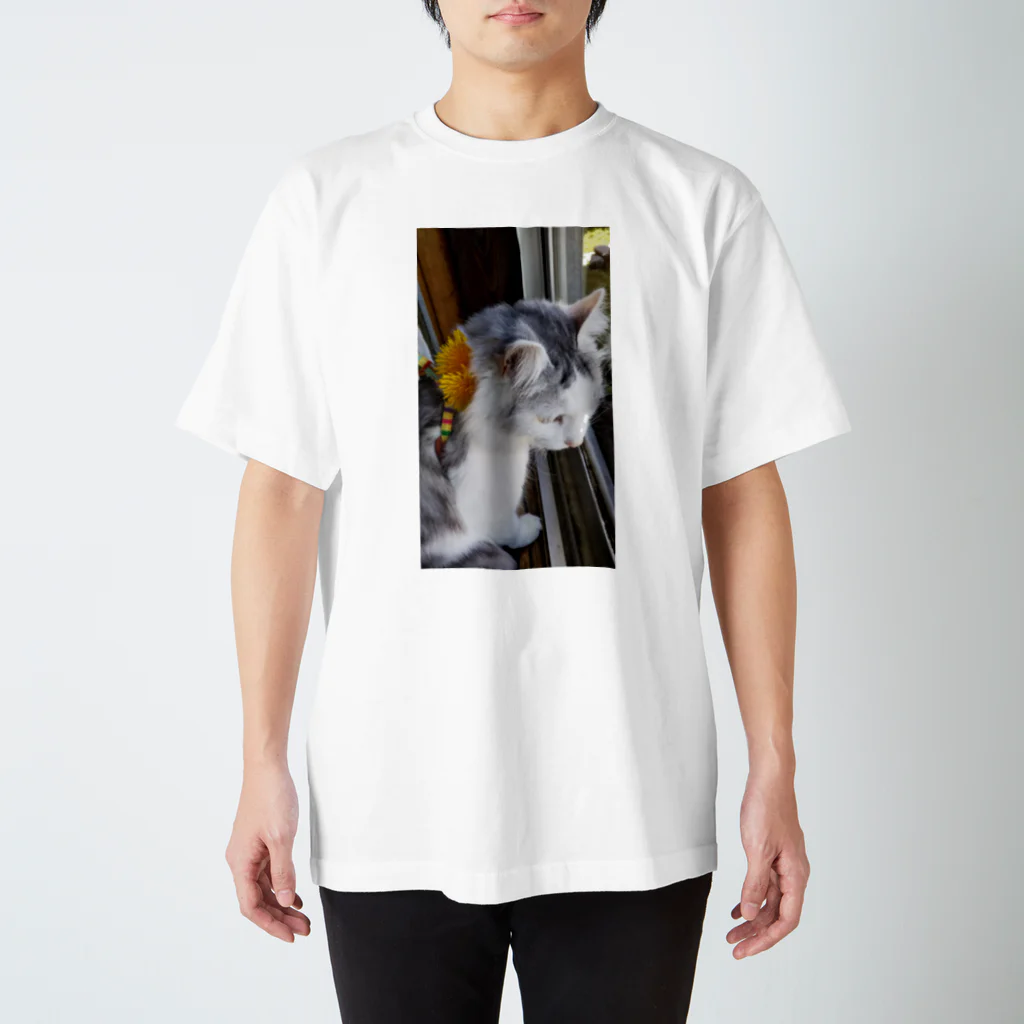 いしのたんぽぽにゃんこ Regular Fit T-Shirt