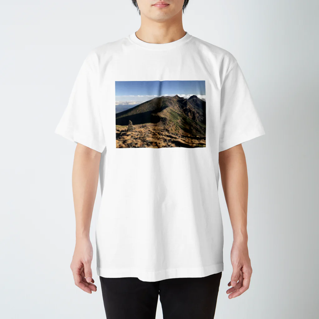 たにしの山T スタンダードTシャツ