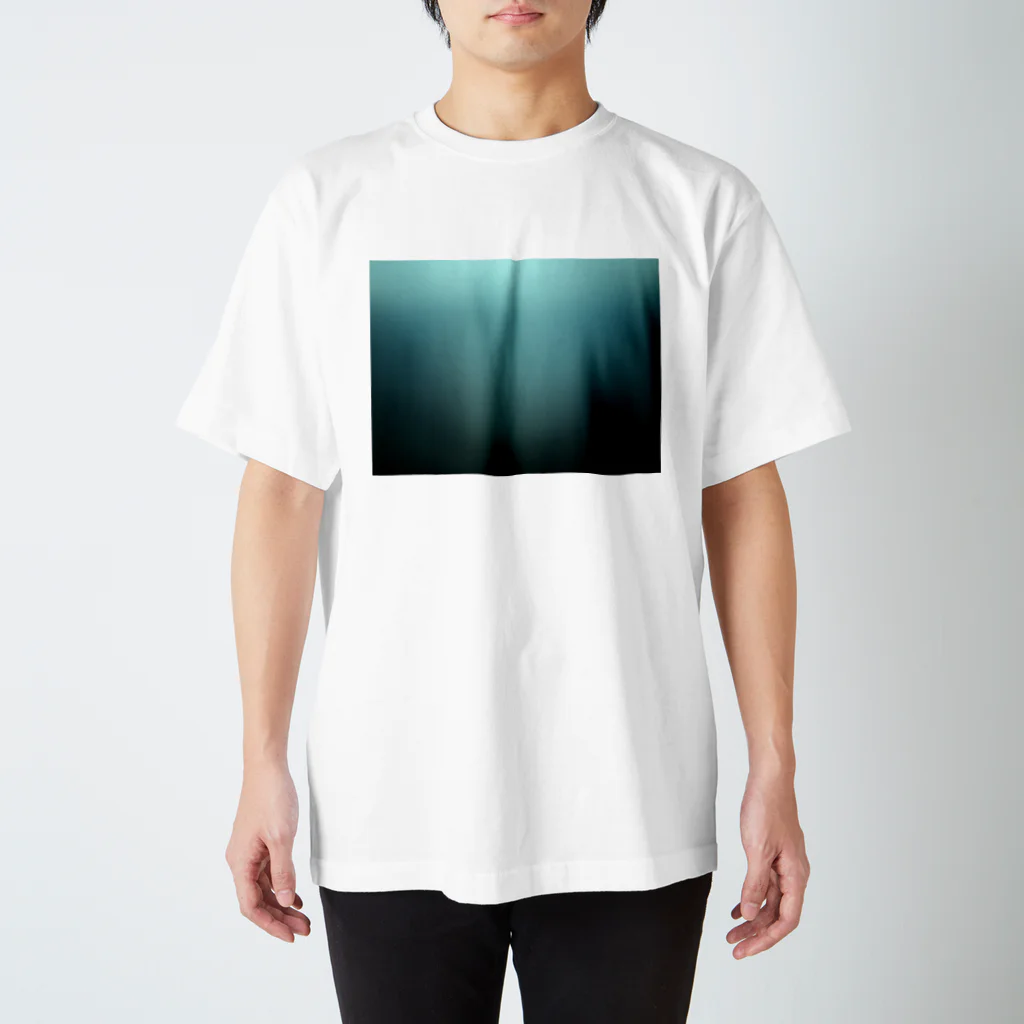 たにしの水面Ｔ スタンダードTシャツ