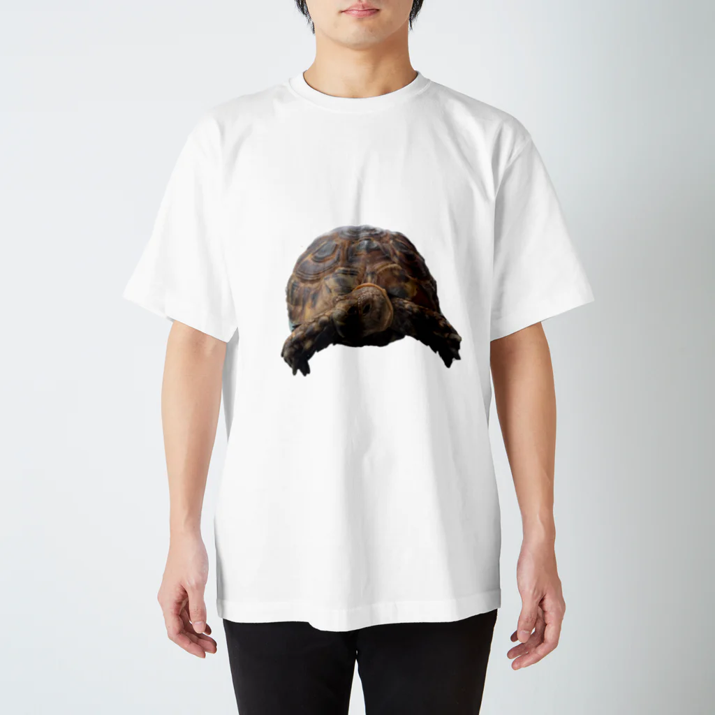 CUCUのmora Regular Fit T-Shirt