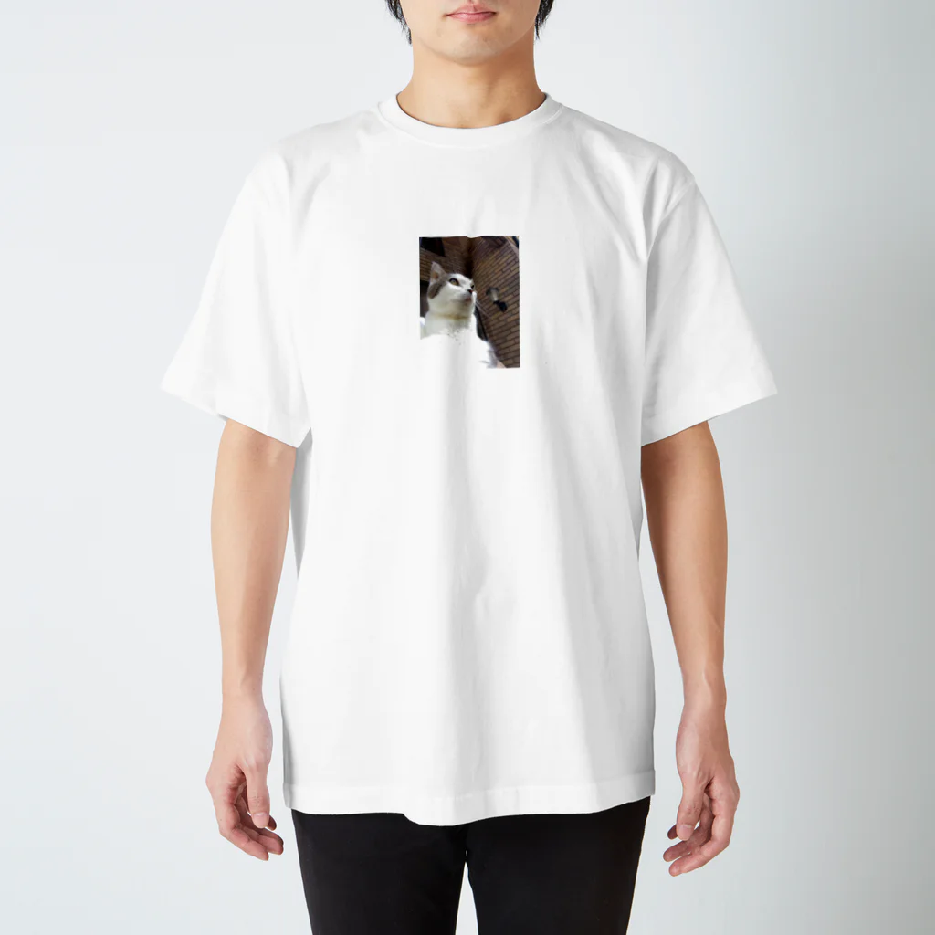 daidouのいつもふてぶてしいうちの愛猫 Regular Fit T-Shirt