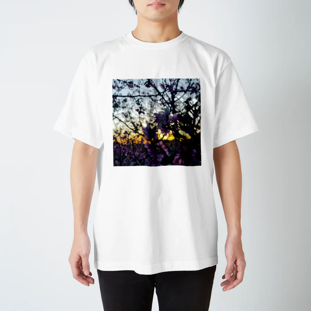 MASA_SsのCherryBlossom スタンダードTシャツ