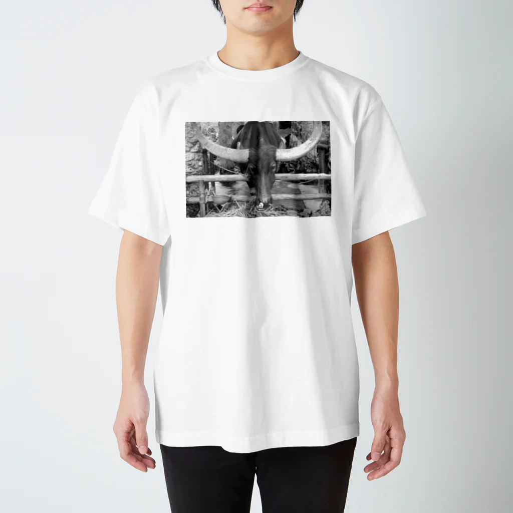 Awawaの水牛T Regular Fit T-Shirt