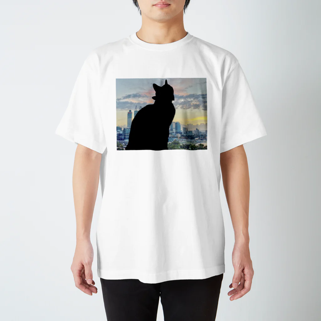  HARU-NYANKOの夢うつつねこ スタンダードTシャツ