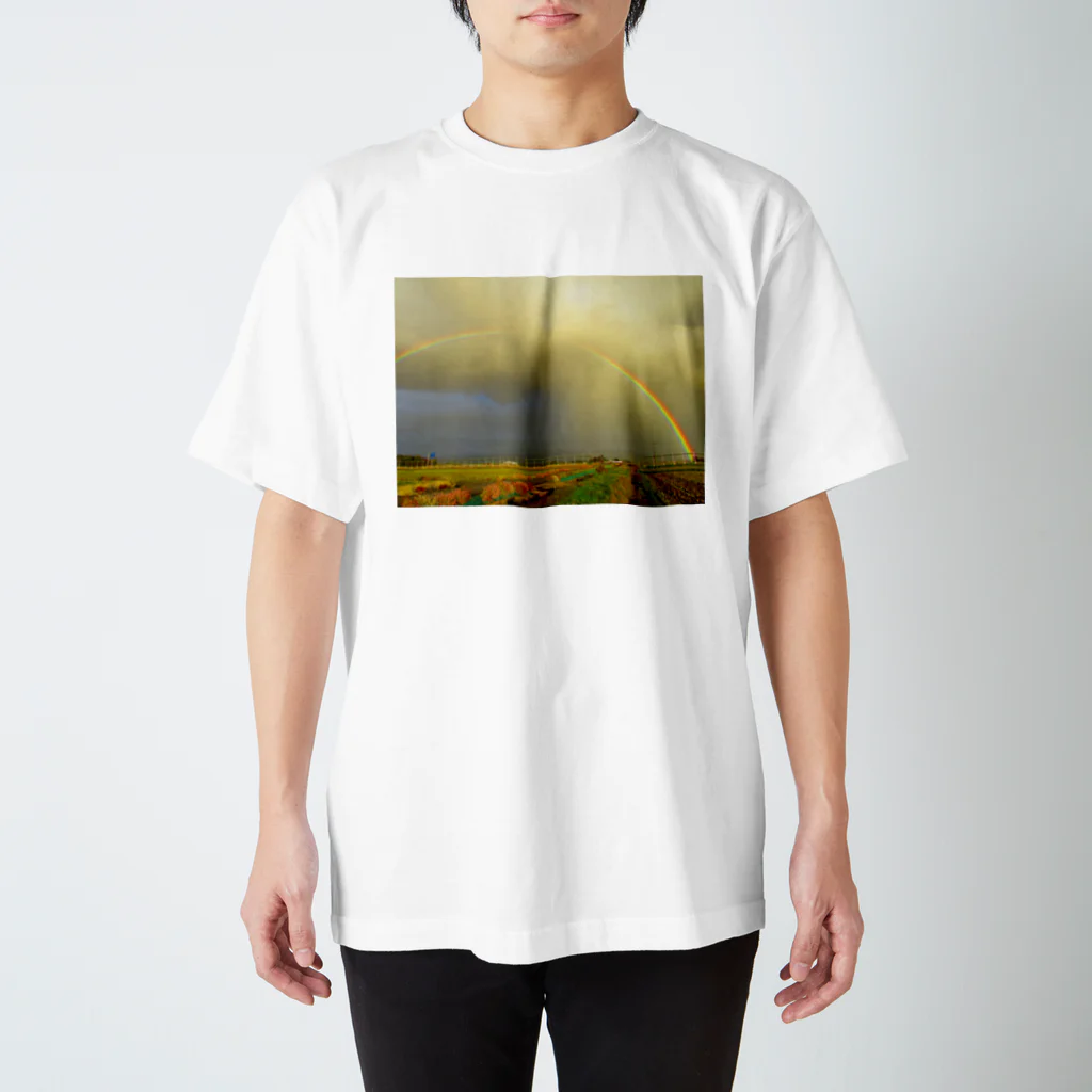 秋田の緋鯉の田舎道と鮮やかな虹 スタンダードTシャツ