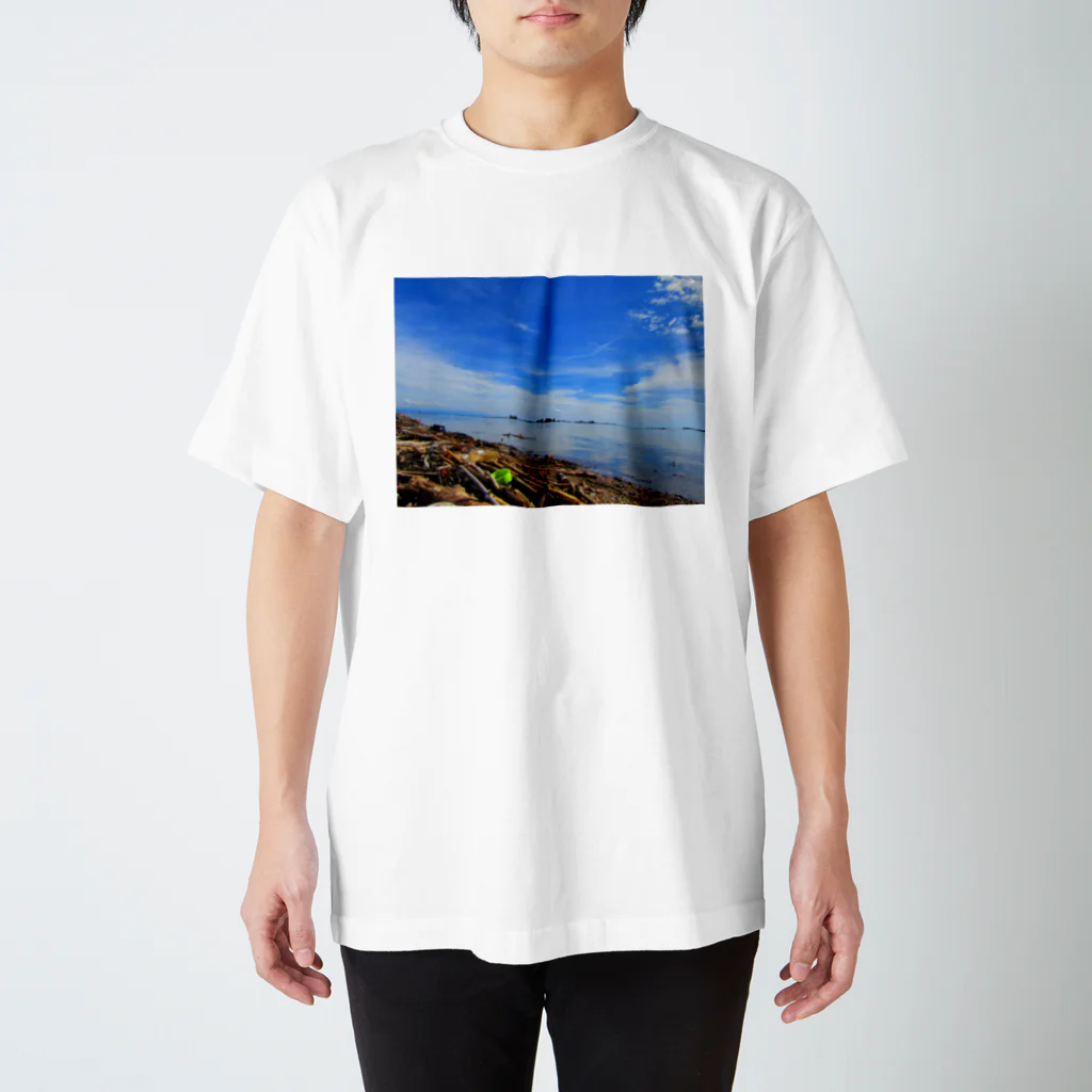 秋田の緋鯉の鵜ノ崎海岸 スタンダードTシャツ