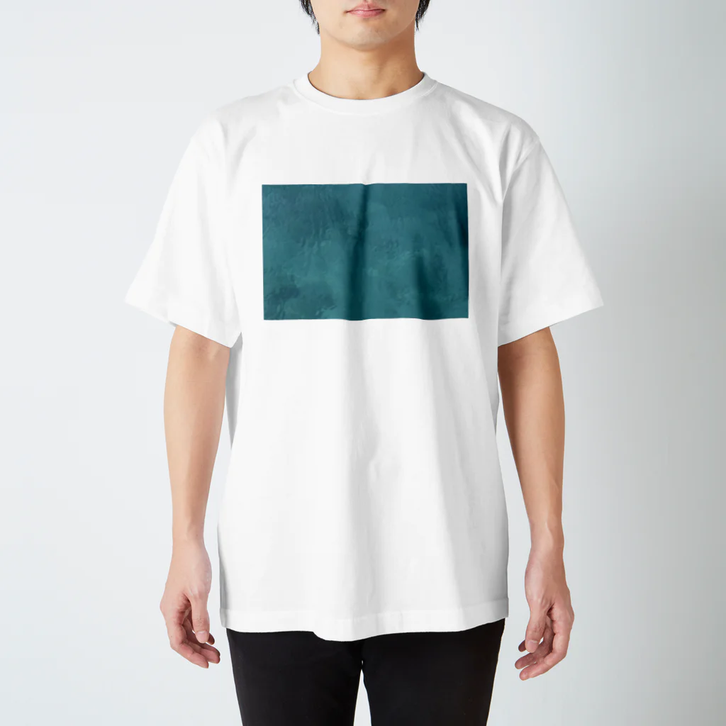 写真館の海の中に Regular Fit T-Shirt