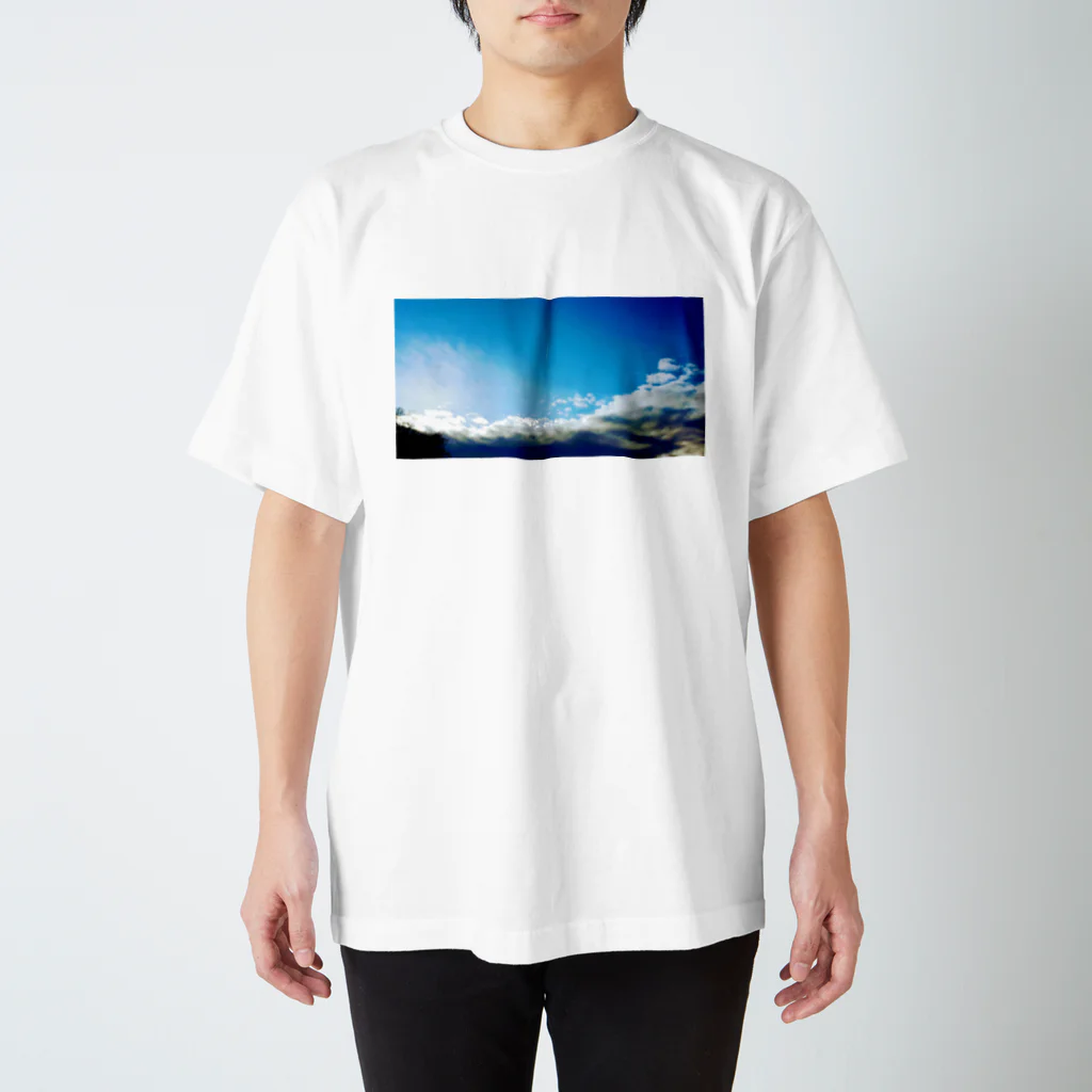 いがらしかものかみさまのおとしもの スタンダードTシャツ