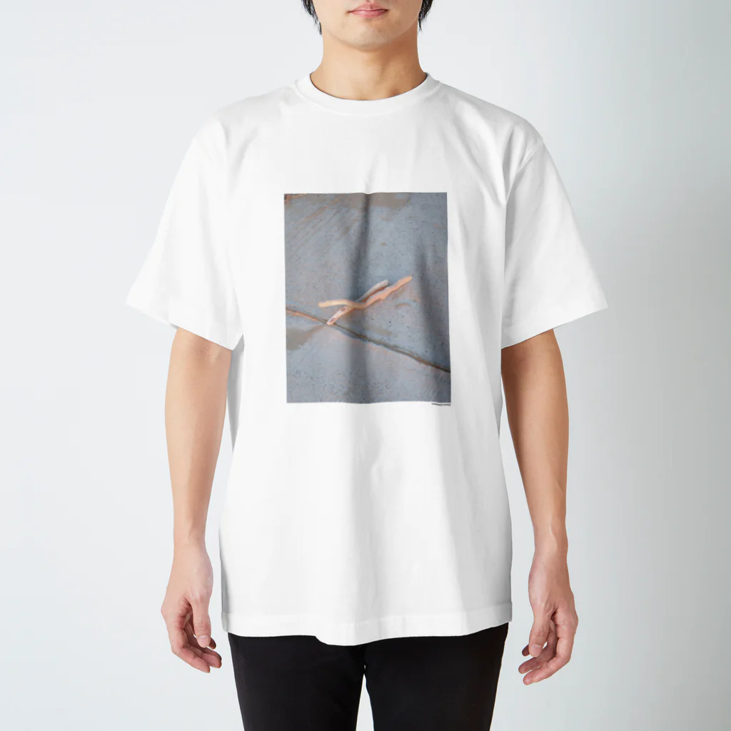 タコすけのフォトプリントTシャツ12 Regular Fit T-Shirt