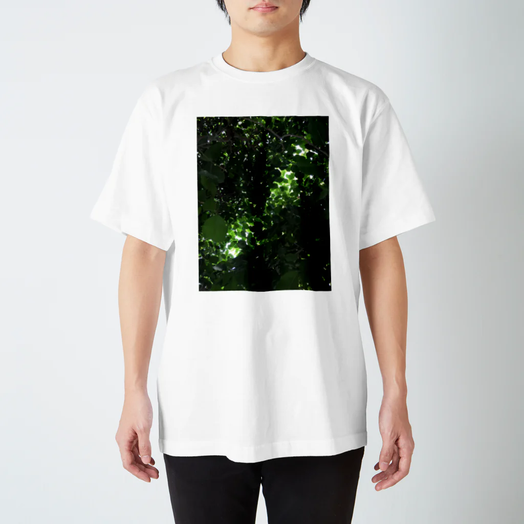 sun-sun_taiyoのしんりょく Regular Fit T-Shirt