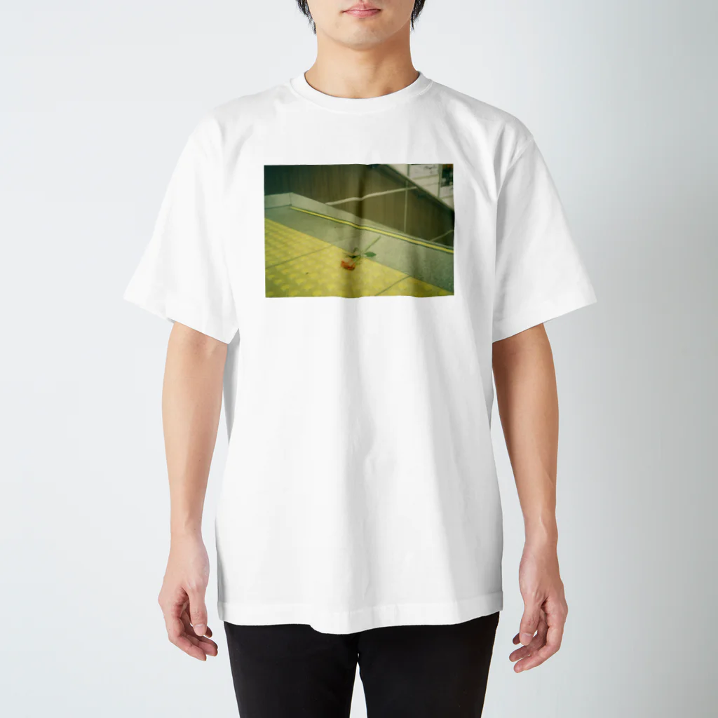 海と花束のフォト 1006-薔薇 Regular Fit T-Shirt