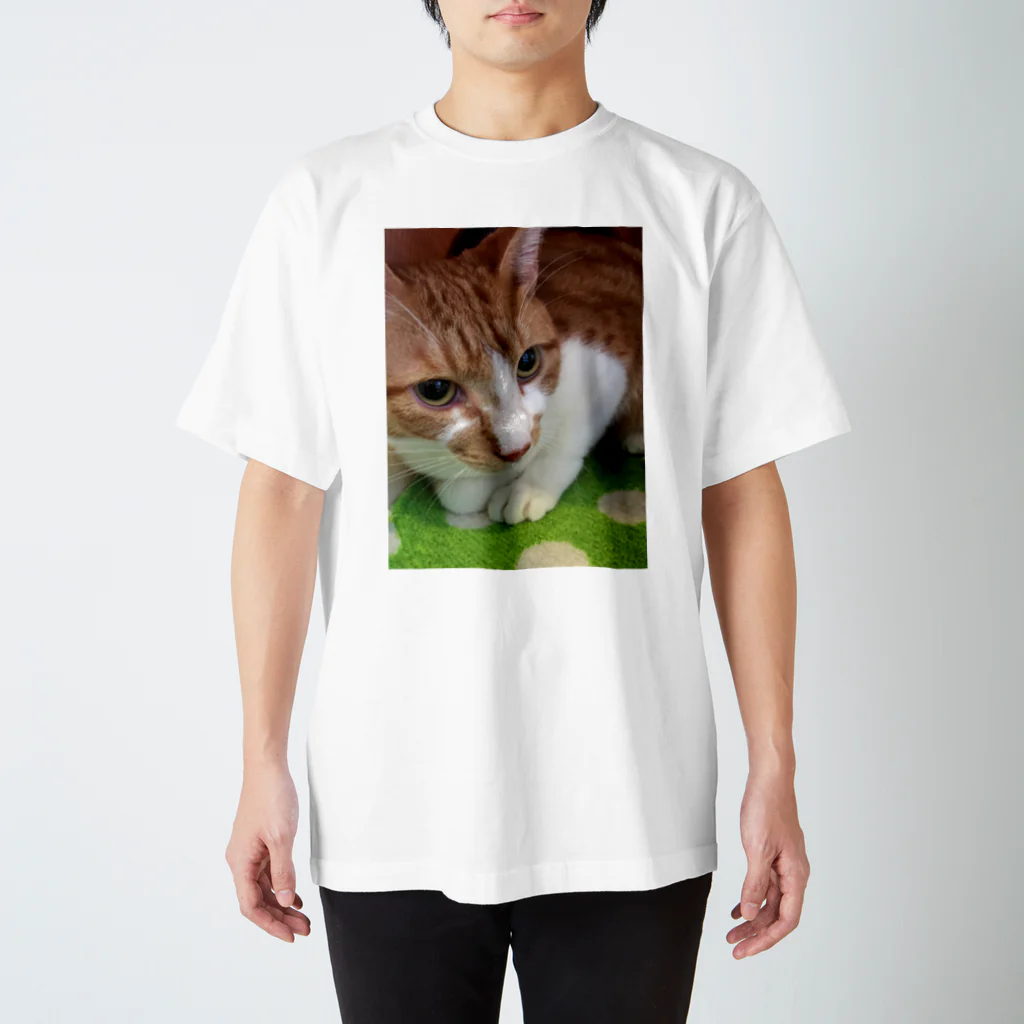 ねこまる広場のぽてとさんヾ(◍'౪`◍)ﾉﾞ スタンダードTシャツ