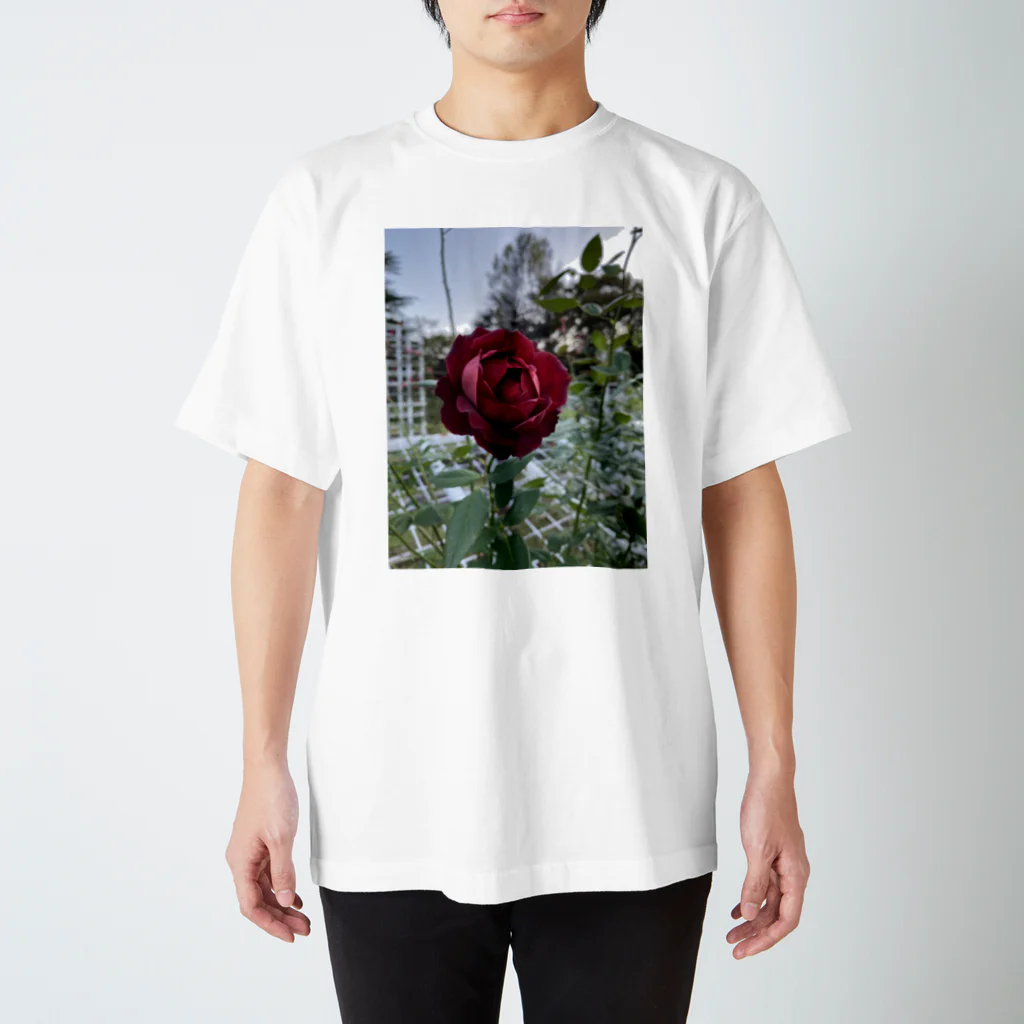 kobasakiiiiiの代々木野薔薇 Regular Fit T-Shirt