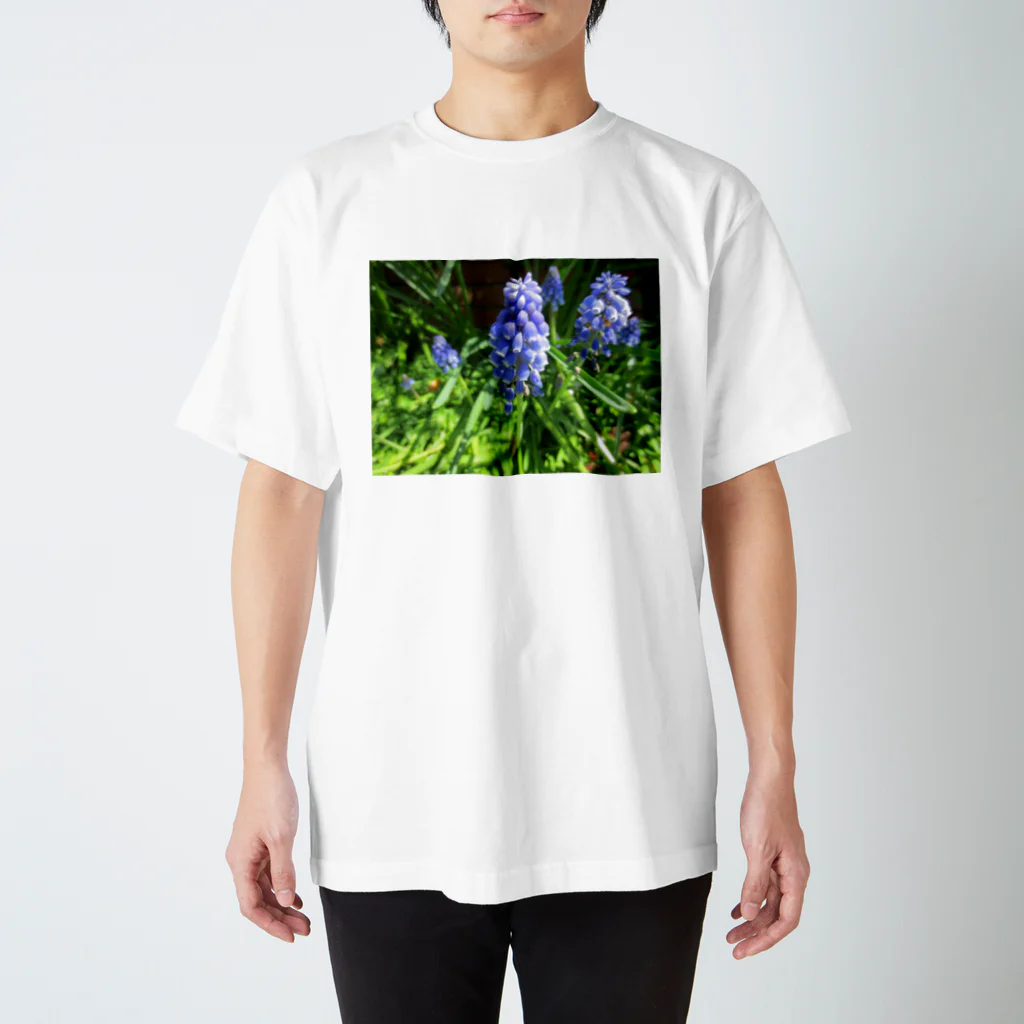 Dreamscape(LUNA)の楚々とした佇まい スタンダードTシャツ