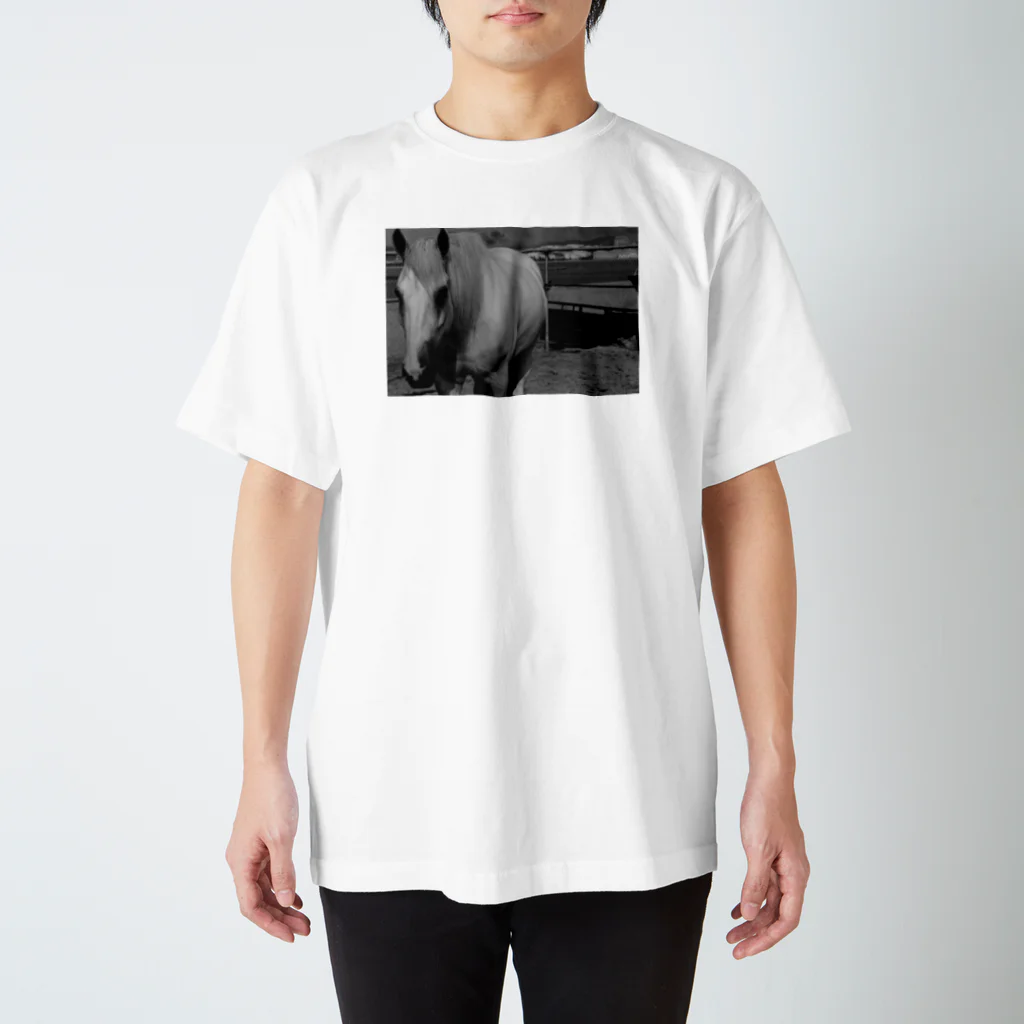 ケット・スゲ氏の馬 Regular Fit T-Shirt