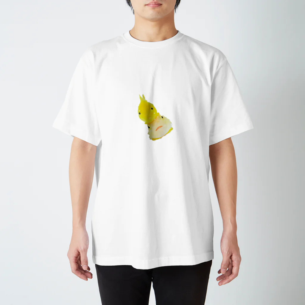 KING FISHERのナメダンゴ科 Regular Fit T-Shirt