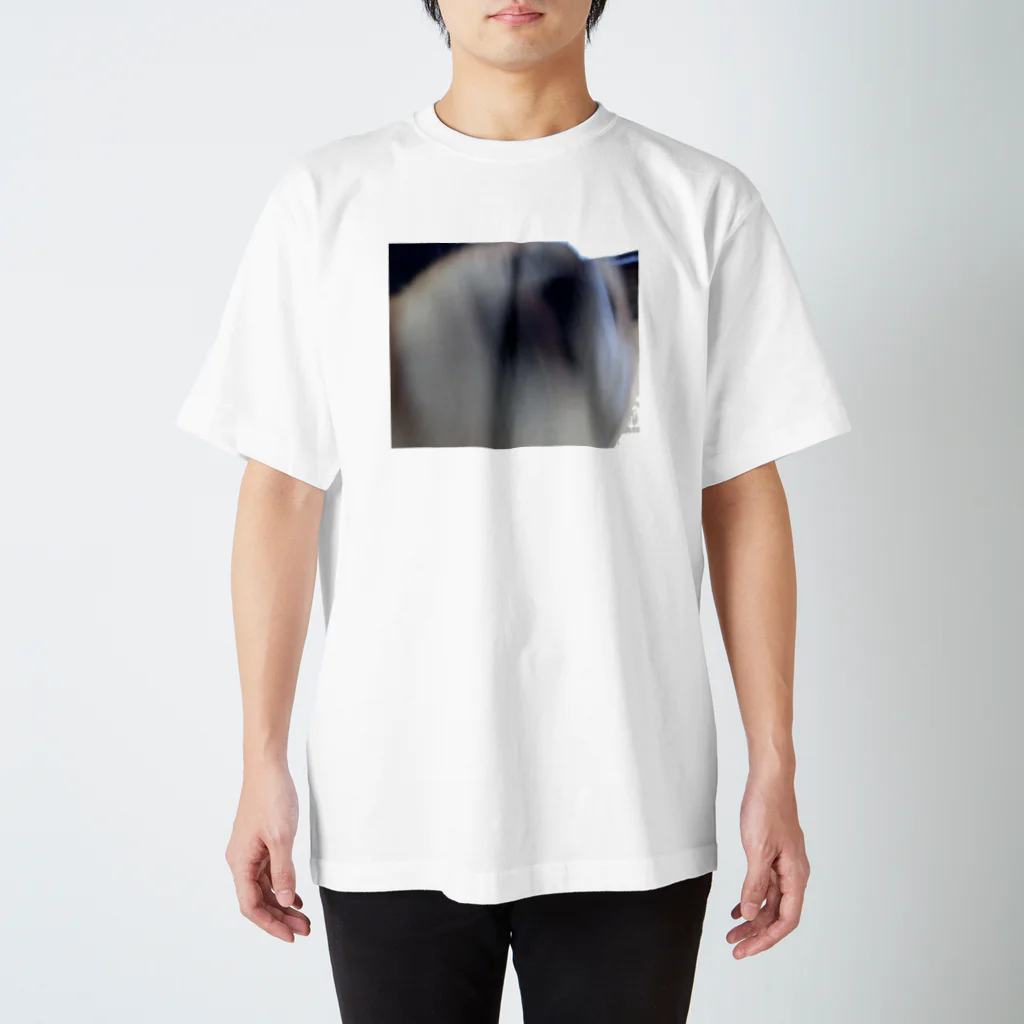 くにつ かの柴犬ラッピー Regular Fit T-Shirt