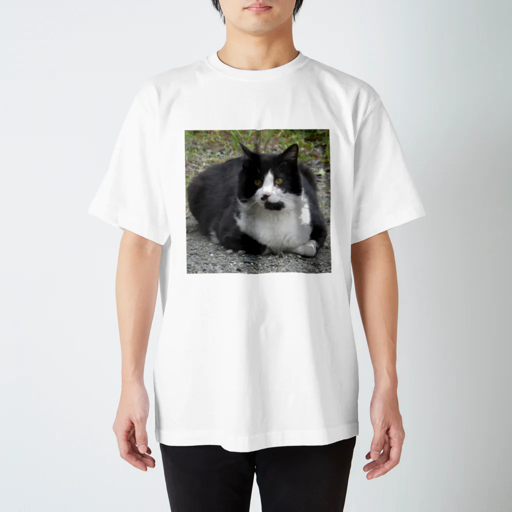 ENDER_007_Sの野良猫_正 スタンダードTシャツ