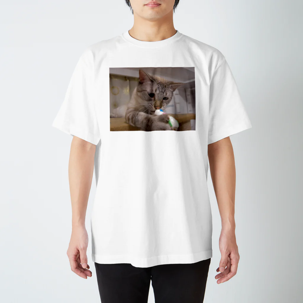 ゴメ屋のワイルドROMANOV Regular Fit T-Shirt