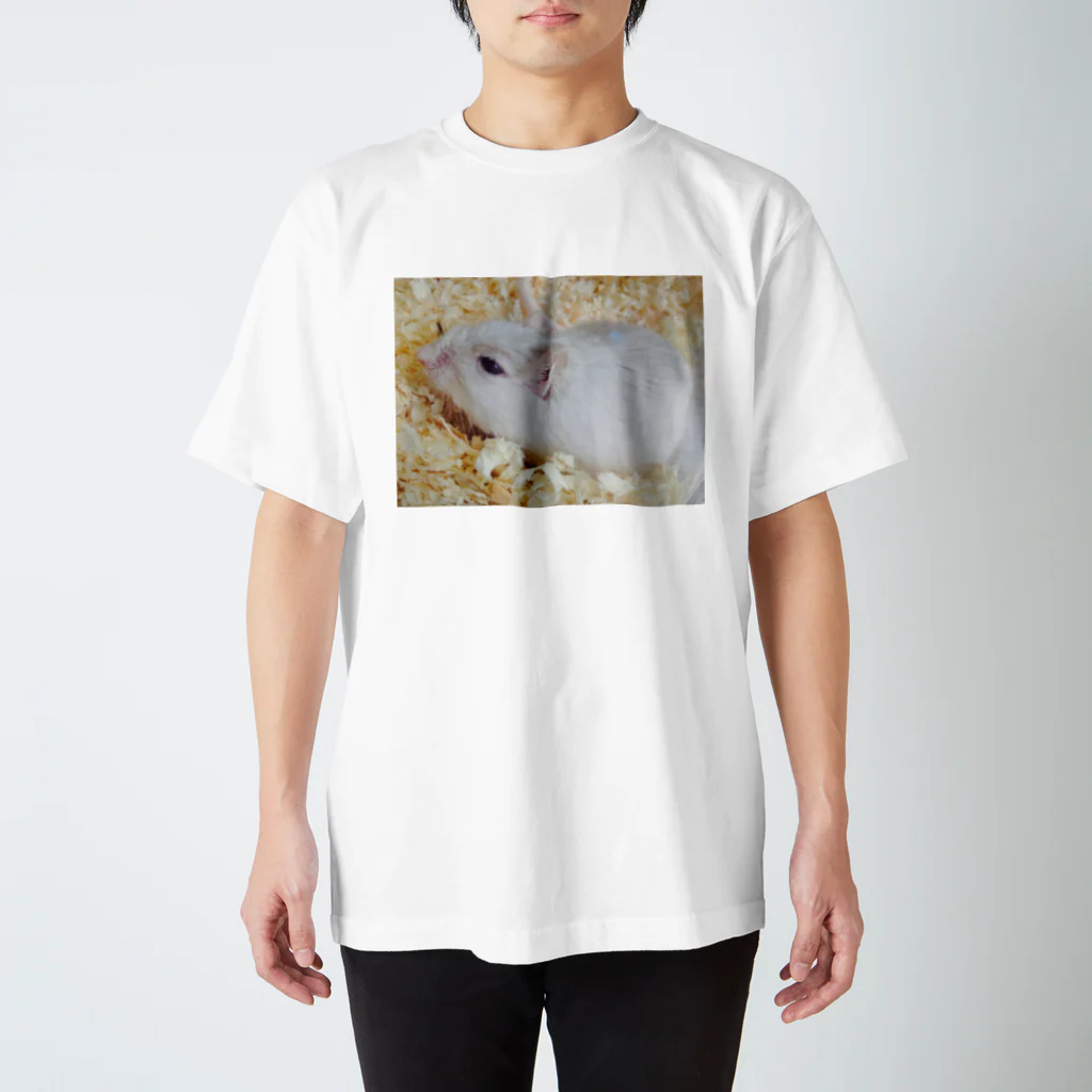 うさたんのスナネズミ グッズ Regular Fit T-Shirt