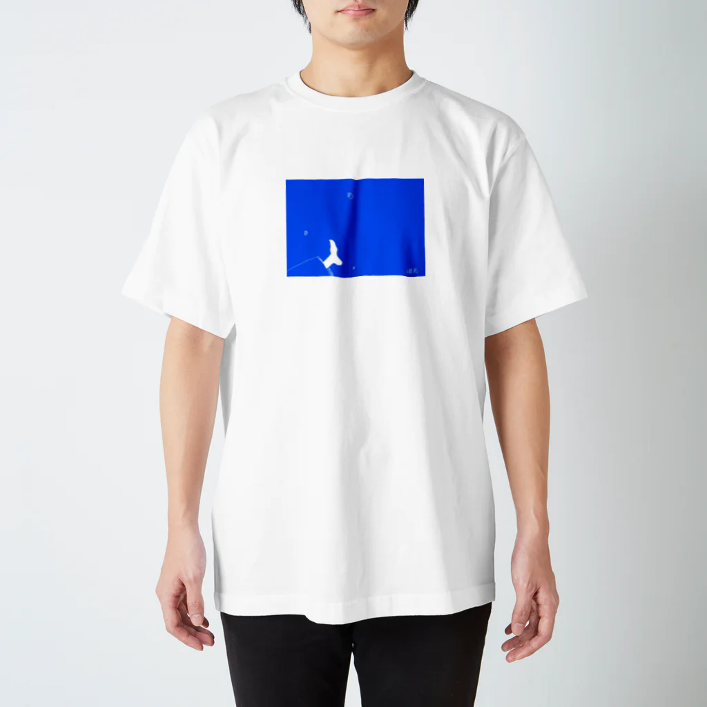 anzumomoyaの溺死 スタンダードTシャツ