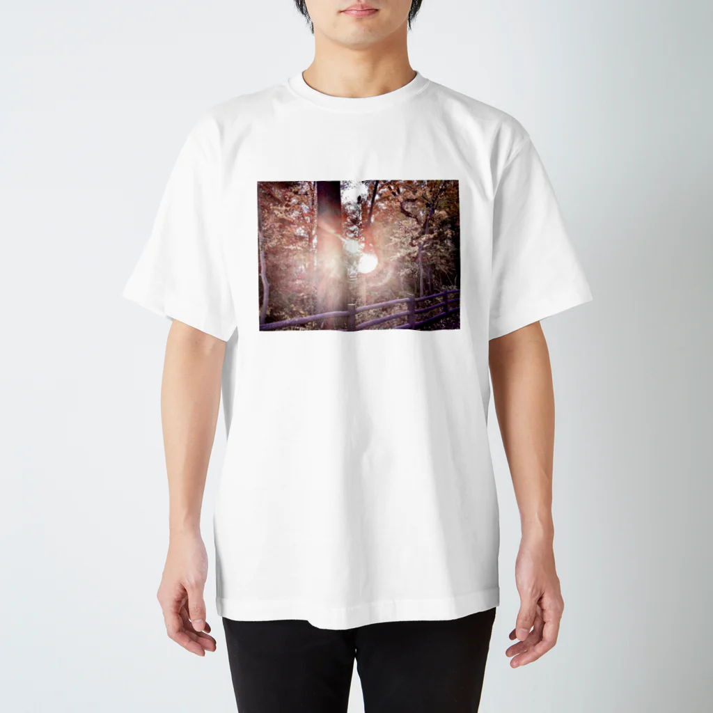 HanaのDecember Burns Red スタンダードTシャツ