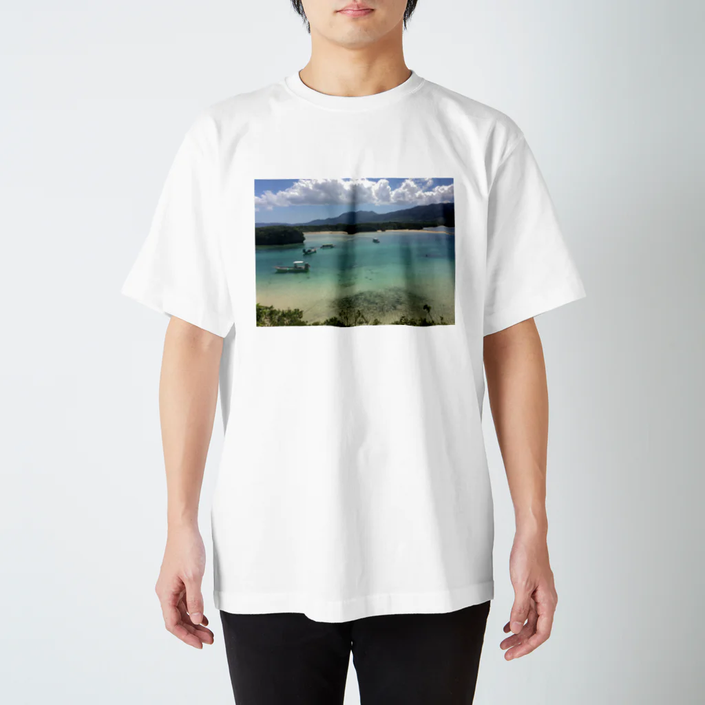 Shop Of Futureの川平湾 Regular Fit T-Shirt