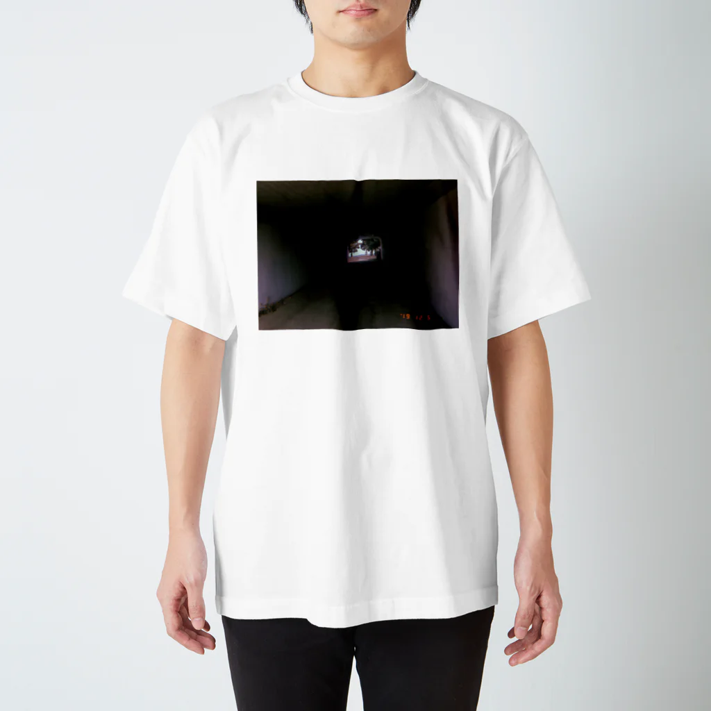 ﾘﾝｶﾎの砂浜までの道のり Regular Fit T-Shirt