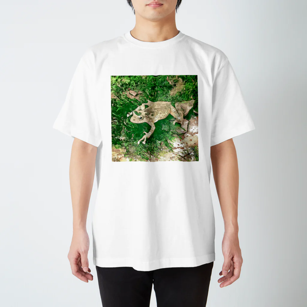 Fantastic FrogのFantastic Frog -Evergreen Version- Regular Fit T-Shirt