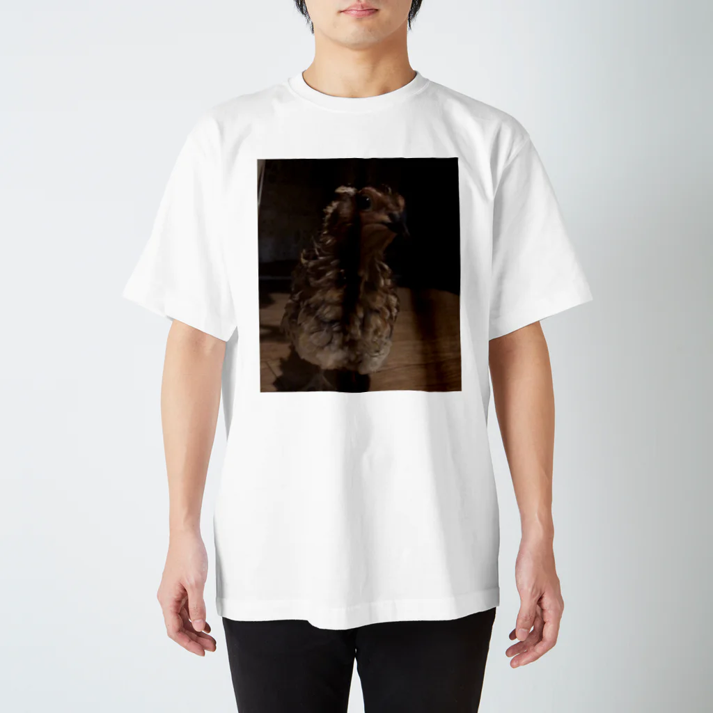 うずらやのむむっ Regular Fit T-Shirt