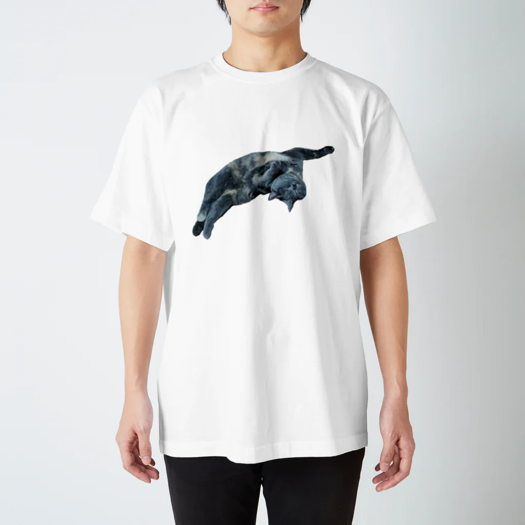 とうふ猫の猫ごろんにゃ Regular Fit T-Shirt