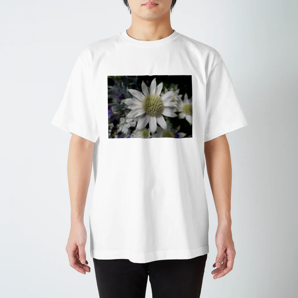 Dreamscape(LUNA)のそのままの君で良いよ Regular Fit T-Shirt