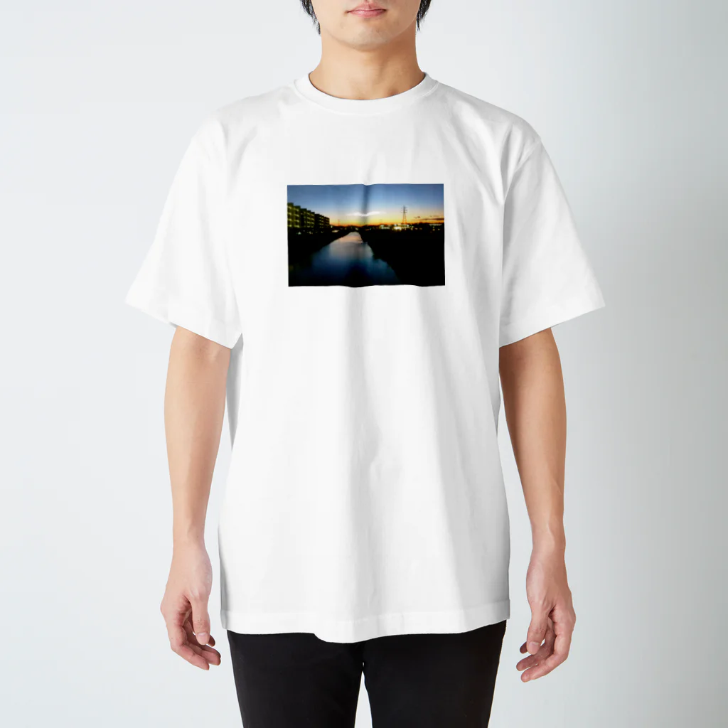 River Gardenの夜の手前 Regular Fit T-Shirt