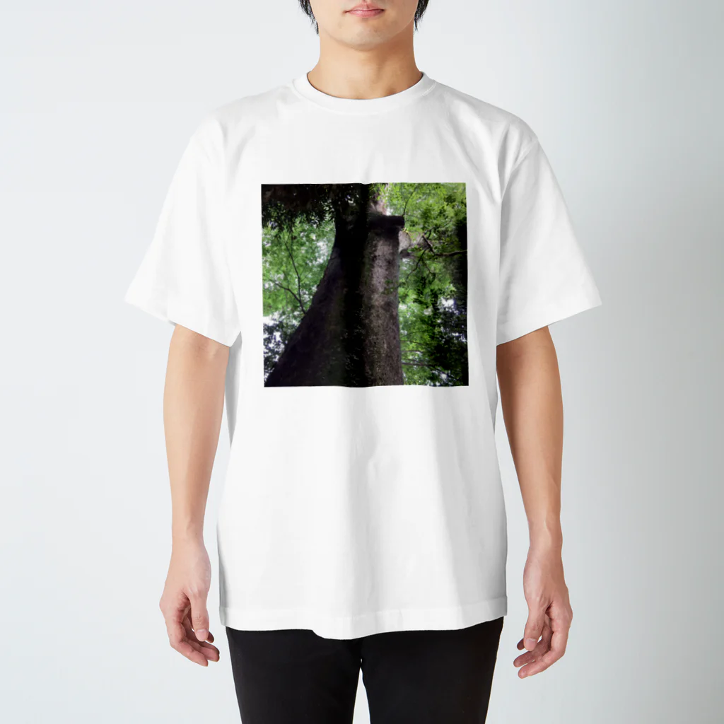 River Gardenの樹の生命力 Regular Fit T-Shirt