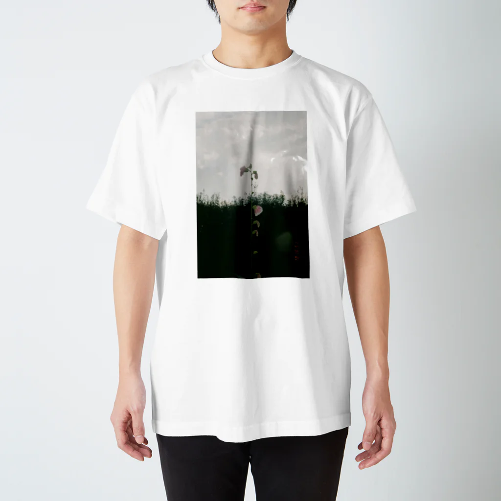 oEjAd/tのhj スタンダードTシャツ