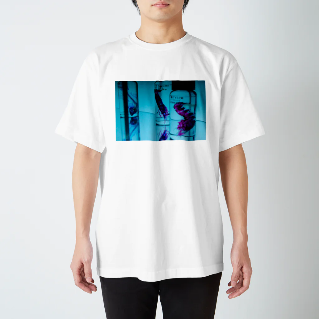 脳海の透明標本たち Regular Fit T-Shirt