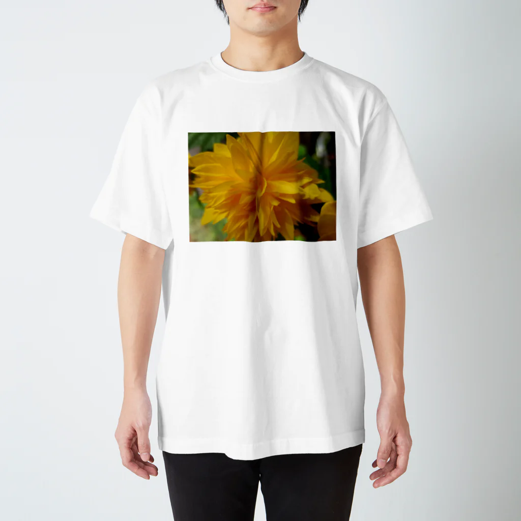 Dreamscape(LUNA)の輝きを求めて・・・ Regular Fit T-Shirt