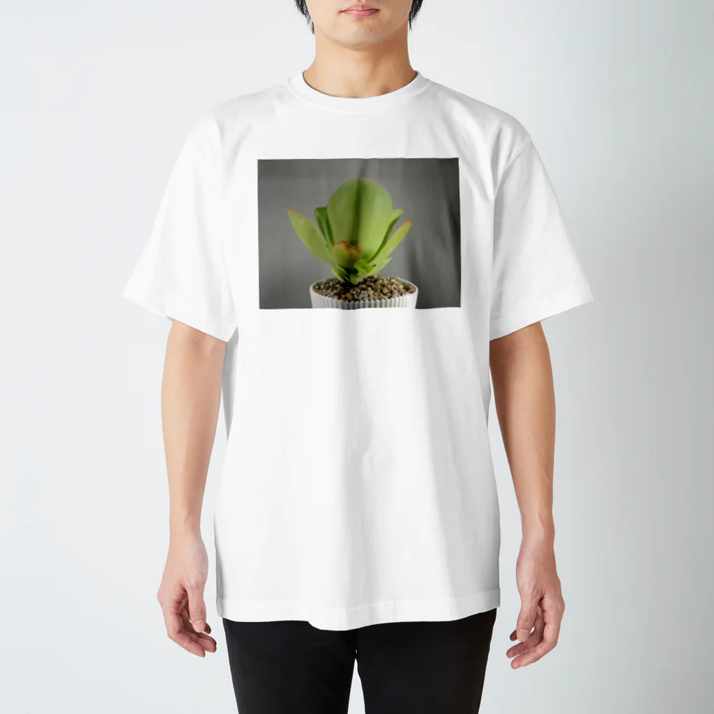 TANIKUDO by DJ.Plugmaticsの多肉植物A スタンダードTシャツ