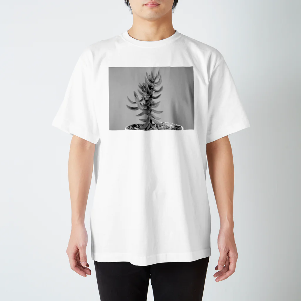 TANIKUDO by DJ.Plugmaticsの多肉植物B Black and white スタンダードTシャツ