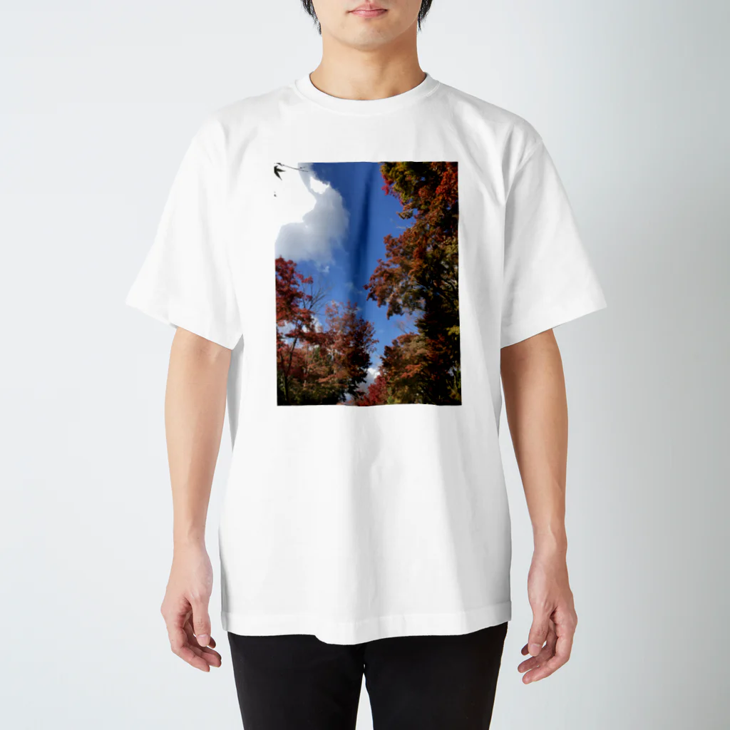 スケルトンの秋の景色 スタンダードTシャツ