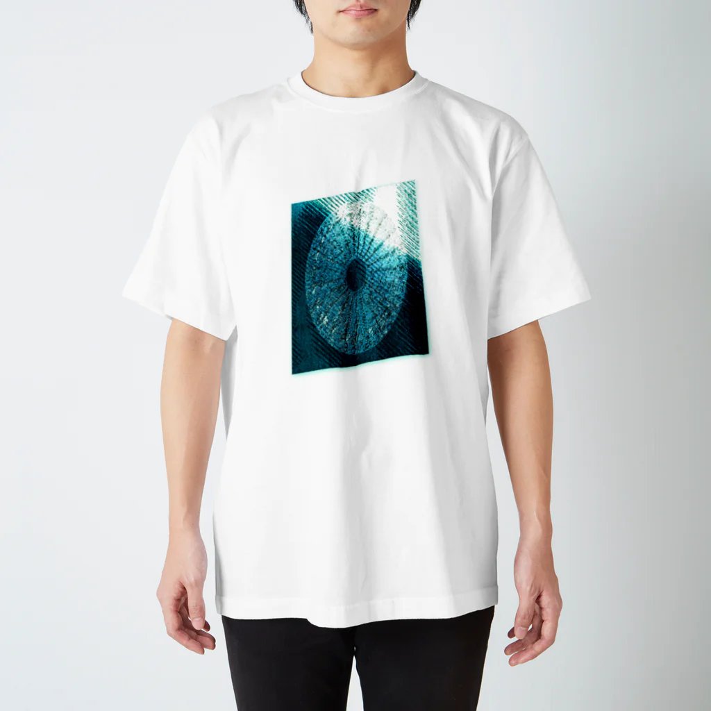 水草の古代パイナップル Regular Fit T-Shirt